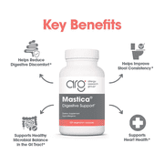 ARG Mastica Digestive Support - Supports Digestive Comfort - Delivers 1000 mg Chios Mastic Gum Resin per Serving - Vegetarian & Hypoallergenic - 120 Servings - 240 Capsules