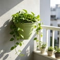 thumbnail image 5 of Half Round Hanging Planter, Wall Mounted Plastic Flower Pot with Drainage Holes, Indoor Outdoor BPA Free Small Planter for Balcony Fence Home Décor, 5 of 6