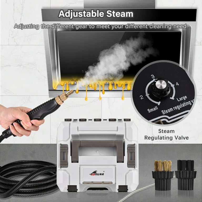 NEW PLACE NEW SANITATION! Steam clean your tile & watch what comes out, Steamer For Cleaning