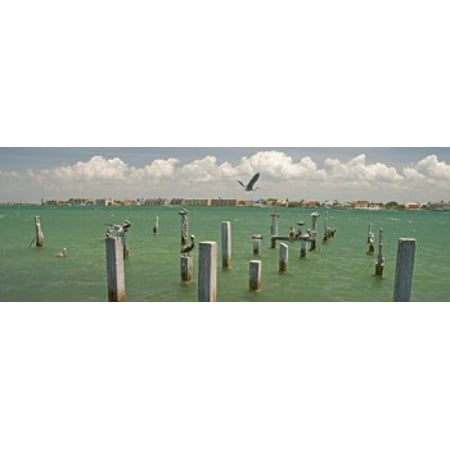 Tampa Bay Area Map - View toward Cabbage Key from St Petersburg in Tampa Bay Area Tampa Bay Florida USA Poster Print