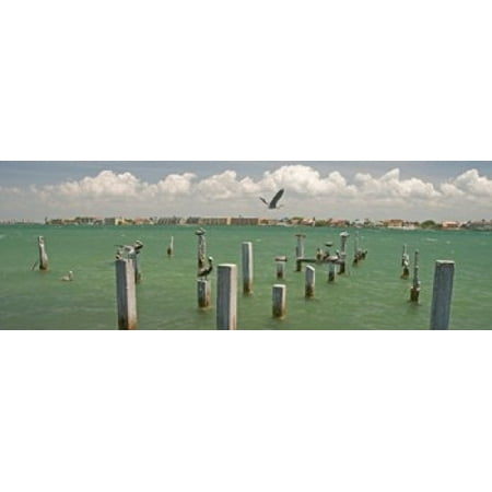 View toward Cabbage Key from St Petersburg in Tampa Bay Area Tampa Bay Florida USA Poster