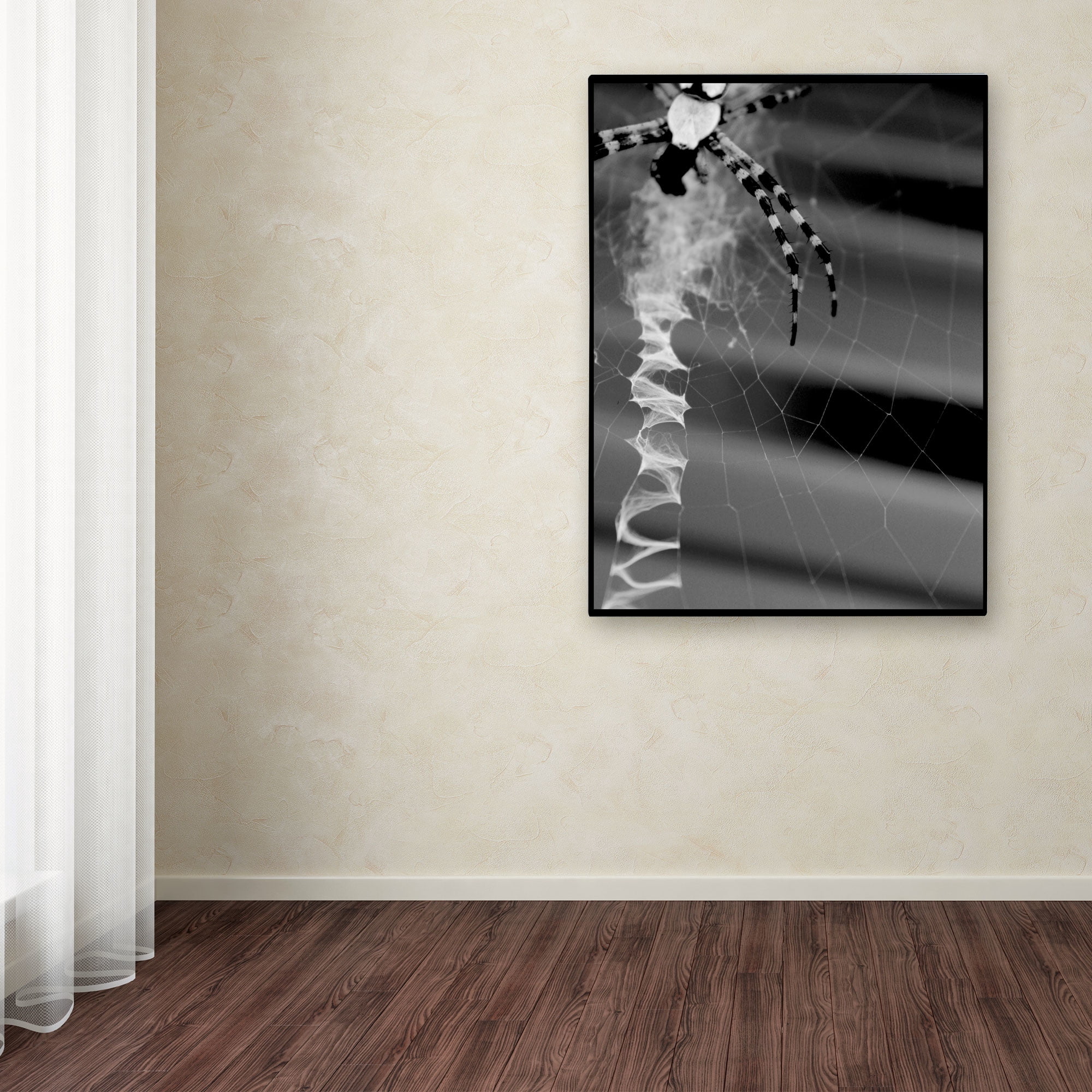 Trademark Fine Art "Black & White Spider & Web" Canvas Wall Art by Patty Tuggle