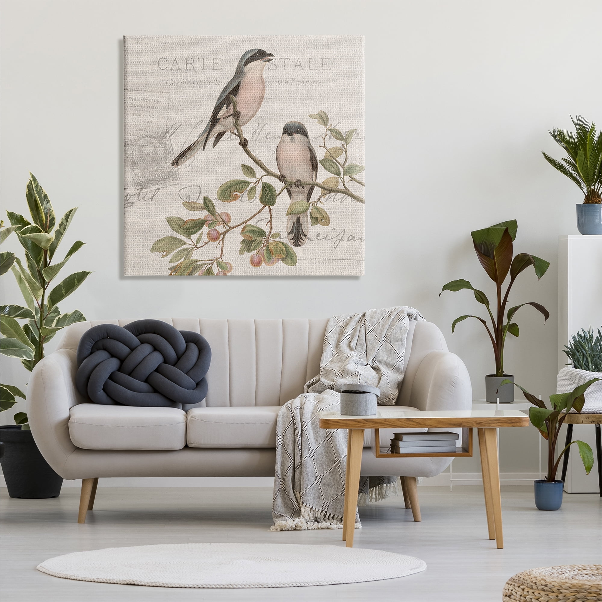 Stupell Industries Summer Birds Tree Branch Antique European Postal Pattern, 36 x 36, Design by Kim Allen