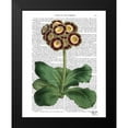 thumbnail image 2 of Fab Funky 12x14 Black Modern Framed Museum Art Print Titled - Primula Auricula Red, 2 of 5