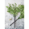 thumbnail image 4 of A&B Home 60" Wood Fern Bush-Color:Green,Style:Botanical, 4 of 8