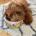 thumbnail image 4 of Happy St. Patrick’s Day Goldendoodle with Green Hat Shamrocks Rainbow Ceramic Pet Bowl for Dog Cat Doodle Dog Lover Gifts Idea 2 Sizes Feeding Bowl - 03007, 4 of 5