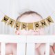 thumbnail image 2 of 2.8M Wild One Banner Birthday Decorations Baby Shower Hanging Flag Bunting Banners, 2 of 2