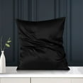 thumbnail image 2 of PiccoCasa 1 Pc 19 Momme Silk Pillowcase with Hidden Zipper Non-Standard Black 16" x 16", 2 of 7