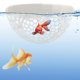 thumbnail image 5 of Accesorio de Acuario Área de Descanso para Peces Flotante, Materiales Seguros y Duraderos, Proporciona Escondites para Peces de Agua Dulce y Salada, 5 of 5