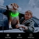 thumbnail image 5 of Collar LED para perro Flashseen HiGuard recargable por USB, verde, 5 of 6