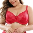 thumbnail image 2 of New Lace Perspective Bra Women Lingerie Underwire Embroidery Floral Bralette Plus Size Bra, 2 of 8