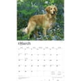 thumbnail image 3 of For the Love of Golden Retrievers | 2026 14x24" Wall Calendar | Plastic-Free, 3 of 9