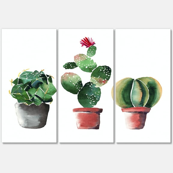 Designart ' Three Cacti In Clay Pots On White ' Traditional Canvas Wall Art Print