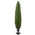 thumbnail image 6 of Northlight Real Touch™ Artificial Cedar Pine Arborvitae Tree in Urn Style Pot, Unlit - 5', 6 of 8