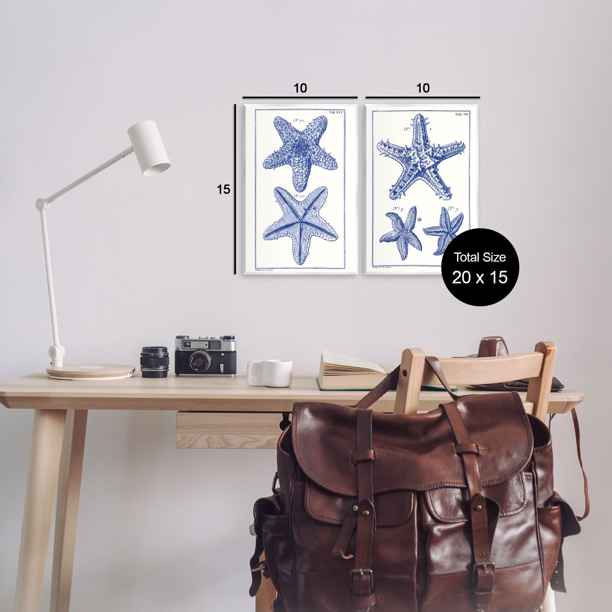Stupell Industries Diagram of a Starfish Nautical & Beach Painting Unframed Art Print Wall Art, 10 x 15, Set of 2