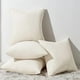 thumbnail image 1 of wonima44 Topfinel Decorative Beige Throw Pillow Covers Cushion Cases, Set of 4 Soft Velvet Modern Double-Sided Designs, Natural Home Decor, Pillow Inserts Not Included (24x24 inch), 1 of 1