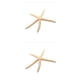 thumbnail image 1 of Cateissary Natural 5-12 cm/10-12 cm dedo blanco estrella de mar mar elegante hogar pelo boda decoración y proyecto artesanal Type4 NO4, 1 of 6