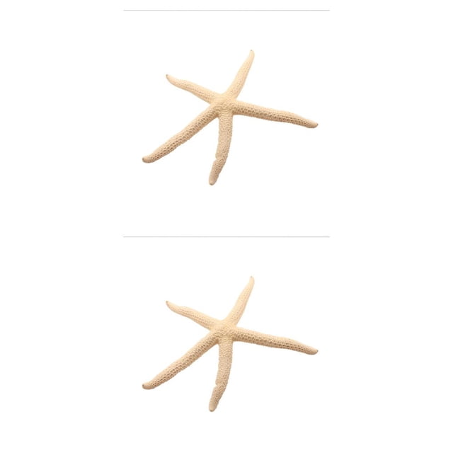 Bewildely Natural 5-12 cm/10-12 cm dedo blanco estrella de mar mar elegante hogar pelo boda decoración y proyecto artesanal blanco 10-12cm 2piezas