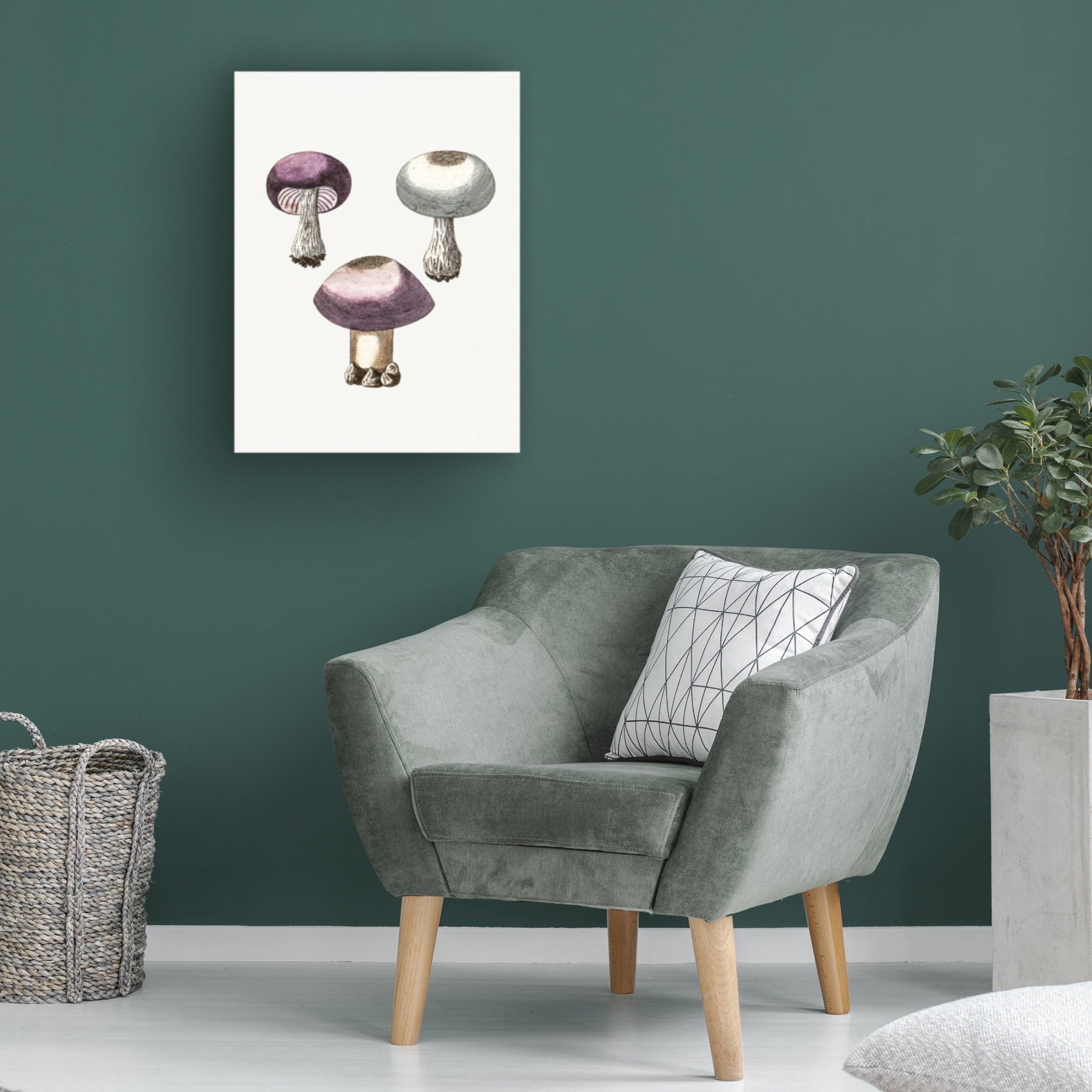 Trademark Fine Art Pictufy Hand Darwn Violet Webcap Mushroom Canvas Wall Art