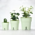 thumbnail image 5 of Unique Bargains S/M/L Plastic Plant Pots Flower Planters with Water Indicator Removable Base, Dark Grey 3 Pack, 5 of 5
