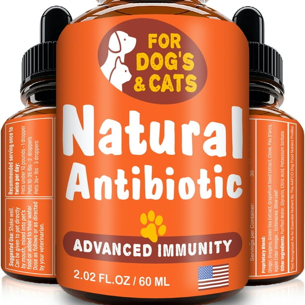 Natural Antibiotic For Dogs And Cats Kennel Cough Medicine For Pets Immune System Booster Allergy Relief Health Supplement Uti Treatment Made In Usa 2oz Walmart Com