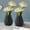 Black[2Pack], variant on Djiypn 2 Pack Ceramic Vases, Modern Home Decor, 6 inches Dried Flower Vases, Boho Home Decor for Centerpieces Wedding Dinner Table Party Living Room Office Bedroom