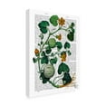 thumbnail image 2 of Trademark Fine Art 'Squash Vine 2' Canvas Art by Fab Funky, 2 of 3