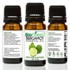 BioFinest Bergamot Oil - 100% Pure Bergamot Essential Oil - Premium Organic - Therapeutic Grade - Best For Aromatherapy - Relieve Cold - Reduce Headache - FREE Essential Oil Guide (10ml)