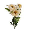 thumbnail image 1 of Ramo de peonía de seda artificial Sunnimix Flor de peonía de seda artificial, 1 of 8