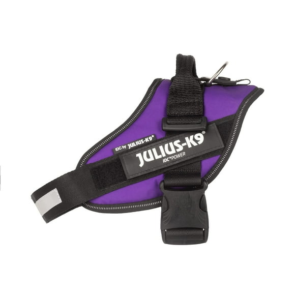 Julius-K9 IDC Powerharness, Taille : M/0, Violet Foncé