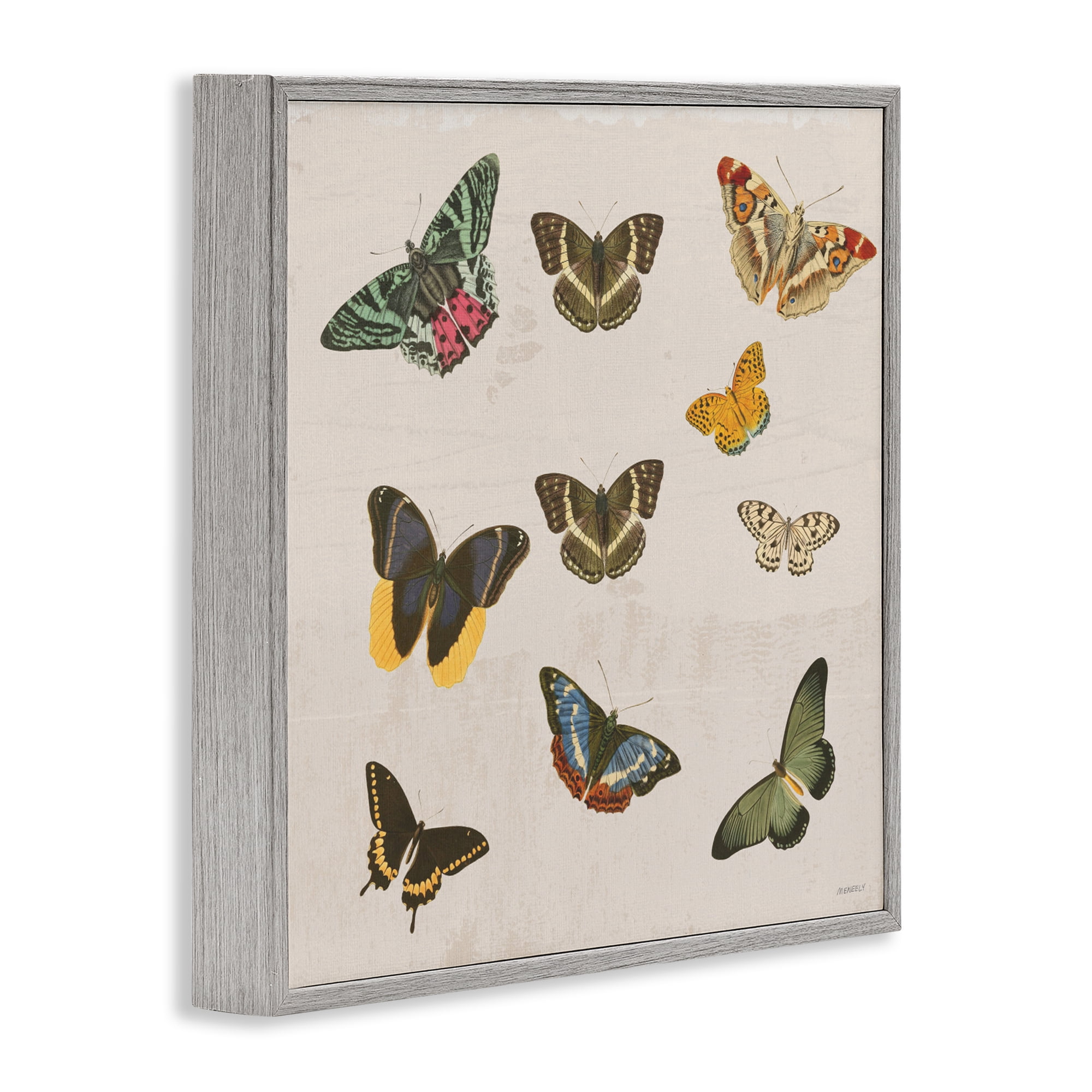 Stupell Industries Antique Butterfly Flight Gray Framed Giclee Art, design by Dan Meneely