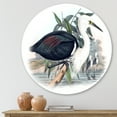 thumbnail image 2 of Designart 'Ancient Birds Of Australia' Traditional Circle Metal Wall Art 11x11 - Disc of 11, 2 of 5