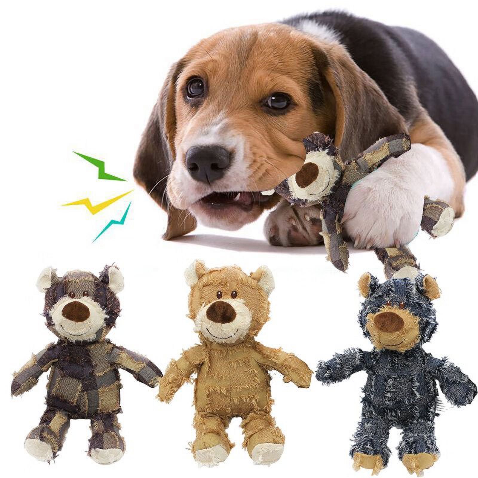 teddy bear large companion dog breeds