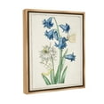 thumbnail image 4 of Stupell Industries Nature Bulbs with Moth Botanical & Floral Painting Brown Floater Framed Canvas Art Print Wall Art, 25 x 31, 4 of 10