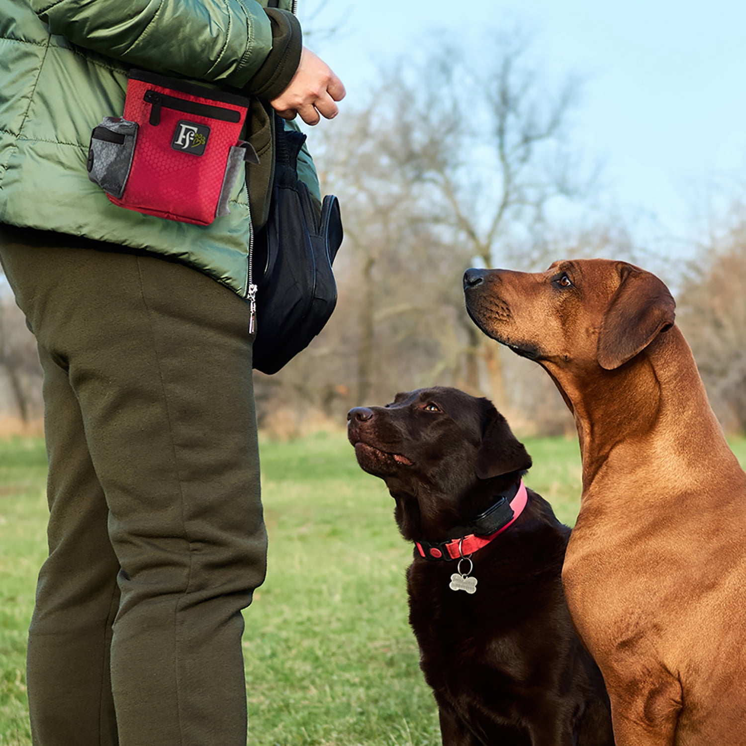 Pefilos 5.5" Pet Training Hands-Free Snack Bag(No Snacks), Training Bag for Kibbles Toys with Poop Bag Dispenser, Red Pefilos 5.5" Pet Training Hands-Free Snack Bag(No Snacks), Training Bag for Kibbles Toys with Poop Bag Dispenser, Red