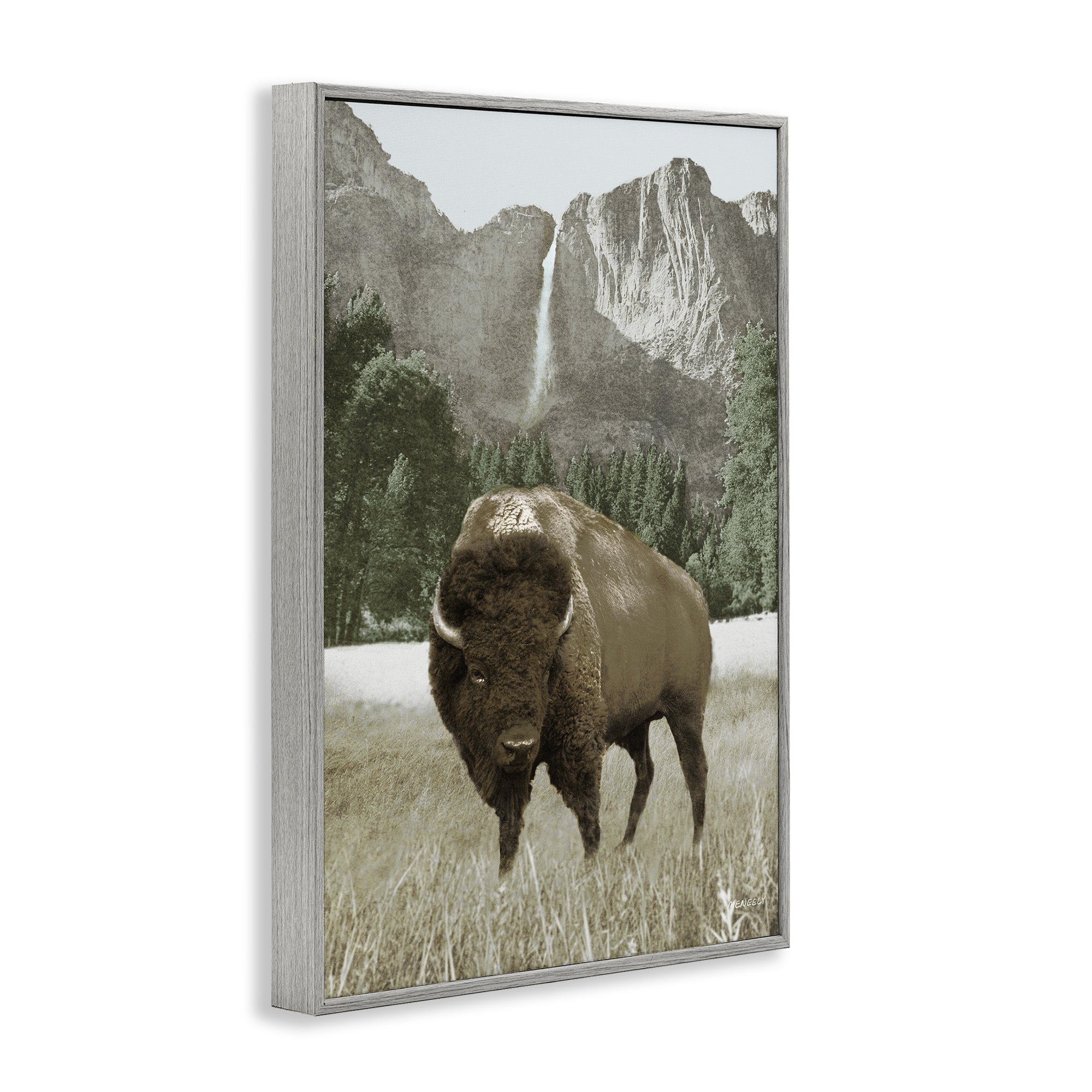 Stupell Industries Bison & Mountain Landscape Animals & Insects Photography Gray Framed Art Print Wall Art, 16 x 24