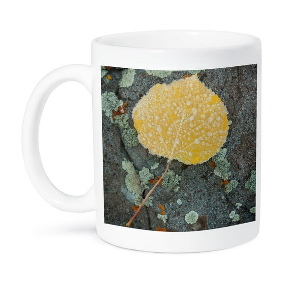 3dRose, Colorado, Uncompahgre National Forest. Frozen aspen leaf., 11oz Mug
