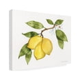 thumbnail image 2 of Kathleen Parr McKenna 'Citrus Garden I' Canvas Art, 2 of 4