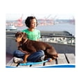 thumbnail image 3 of Chuckit! Sport 25M - Lanceur de Balle - pour Chiens, 3 of 5