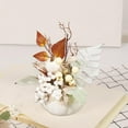 thumbnail image 3 of White Pumpkin Maple Tabletop Centerpiece Decor for Fall Thanksgiving Table Wood Sign Harvest Decoration with White Berry for Harvest 4*8inches, 3 of 8