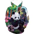 thumbnail image 3 of Sudadera con capucha con estampado 3D de panda para hombre, unisex, informal, de manga larga, de gran tamaño, chándal, 3 of 5