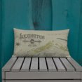 thumbnail image 1 of Coussin Premium Vintage Lexington Map, 1 of 9