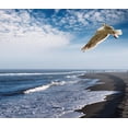 thumbnail image 2 of Coastal Wall Mural by Wallmonkeys Peel and Stick Graphic (18 in W x 15 in H) WM119237, 2 of 4