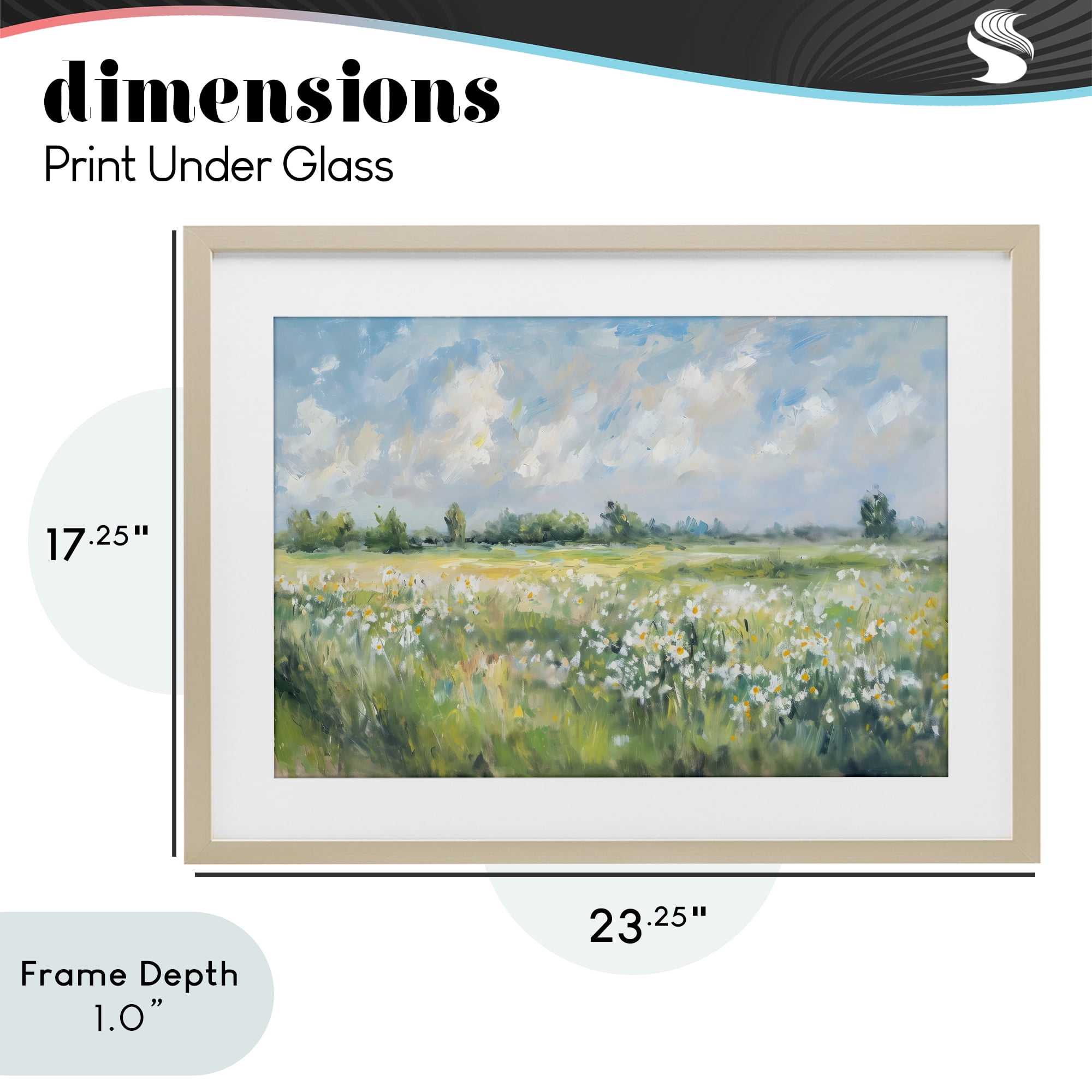 Stupell Industries Daisy Field Landscape Impression Birch Framed Print Under Glass, design by Creative Studio