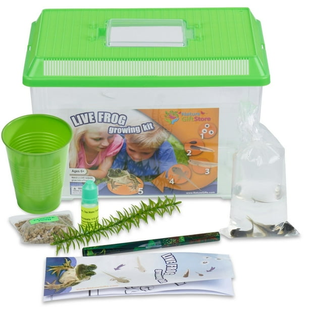 Frog Growing Kit 2Gallon Habitat with 2 FREE Tadpoles Certificate