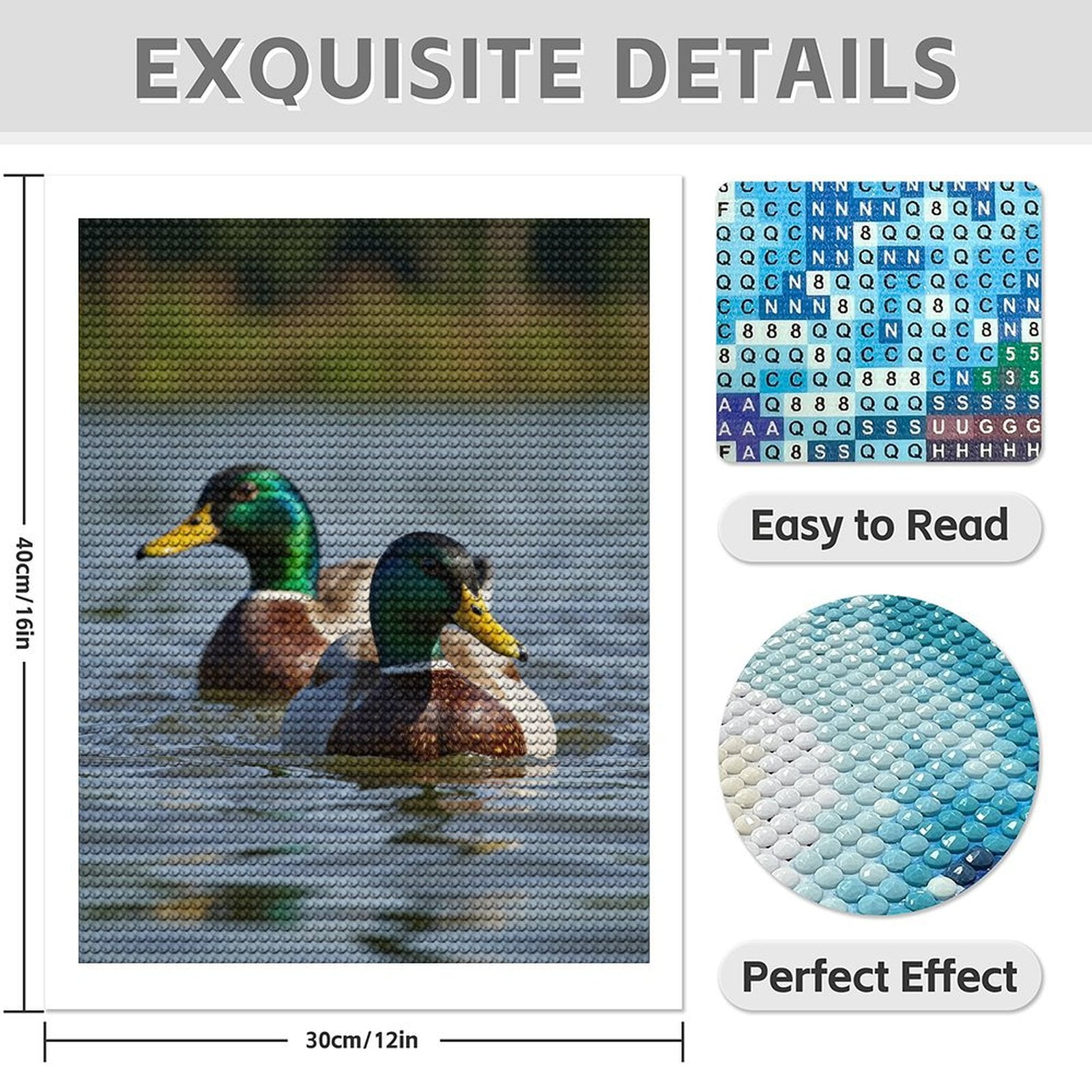 Diamond Art Kits for Adults - 5d Ducks Swimming Peaceful Lake Waters Diamond Painting for Adults, Diamond Art for Adults Beginners, Diamond Painting Kits for Adults for Home Wall Decor