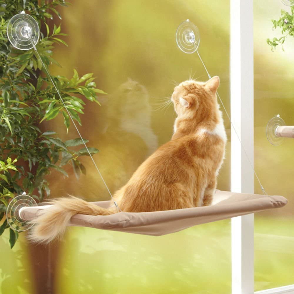 Cat Bed petbedmat,Suction Cups Space Saving Likmond Cat Window Perch Cat Hammock Window Seat Providing All Around Sunbath for Cats 