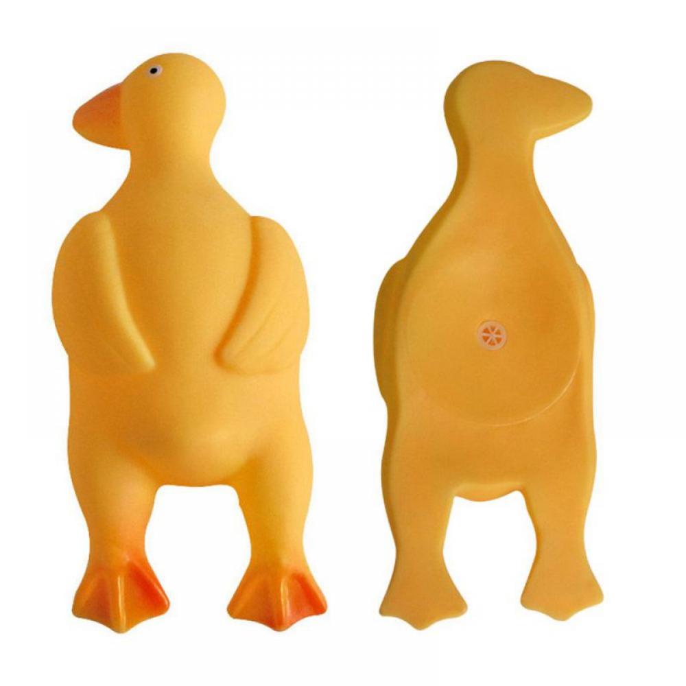 2PCS Dog Squeaky Toy Screaming Pigeon Dog Toy Bite Resistant Bird Chew