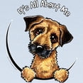 thumbnail image 2 of CafePress - Border Terrier IAAM Long Sleeve T Shirt - Long Sleeve Infant T-Shirt, 2 of 2