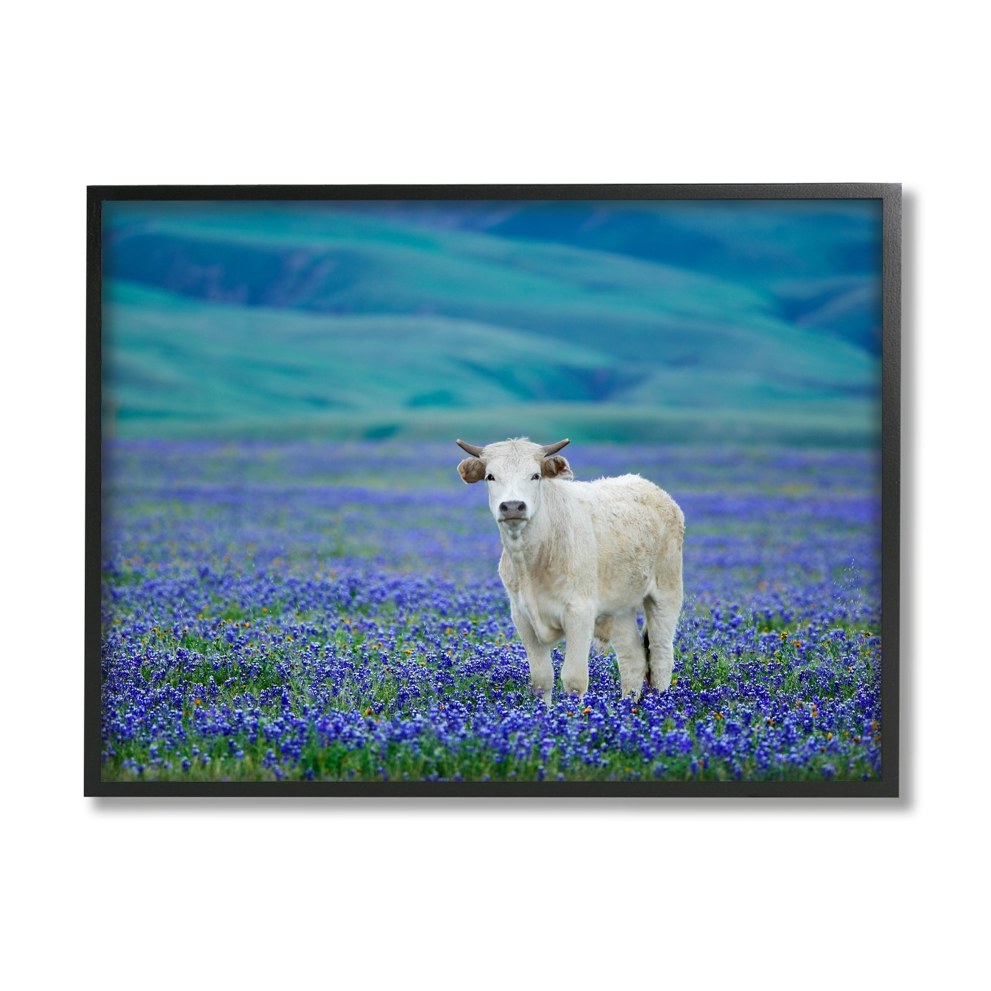 Stupell Industries White Cattle Lavender Field Animals & Insects Photography White Framed Art Print Wall Art